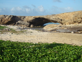 2007 10-Aruba Beach Arch